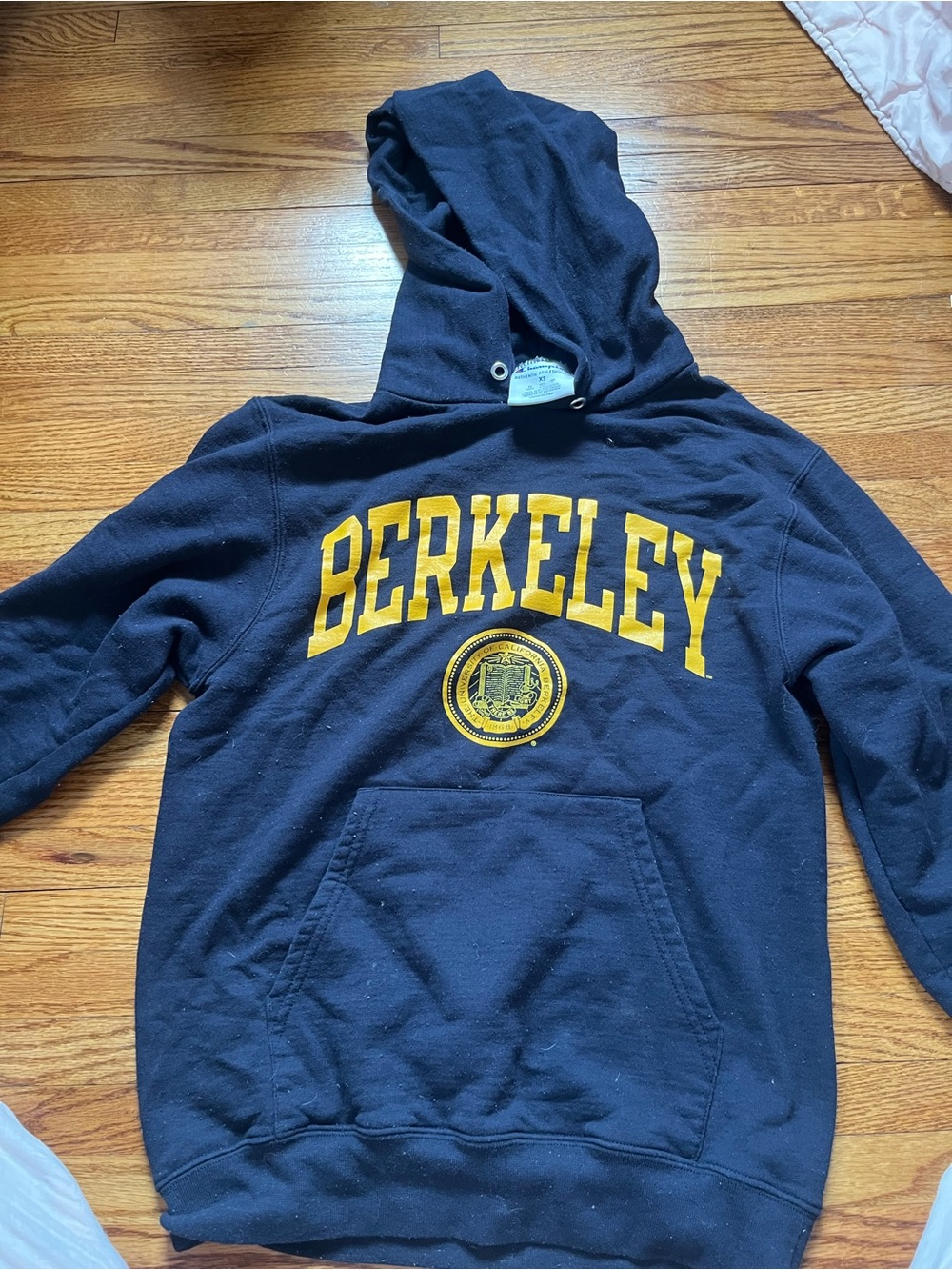 Champion Navy Blue Berkeley Hoodie with Gold Print